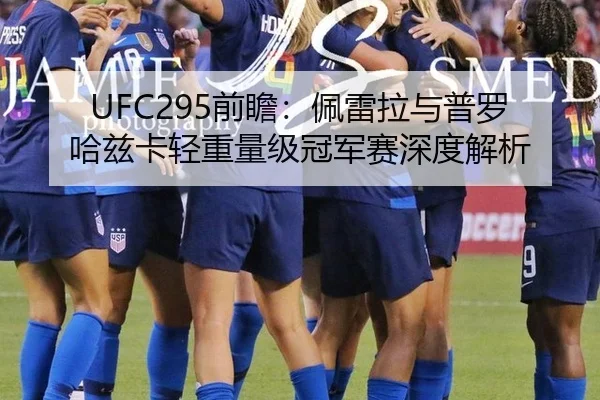 UFC295前瞻：佩雷拉与普罗哈兹卡轻重量级冠军赛深度解析