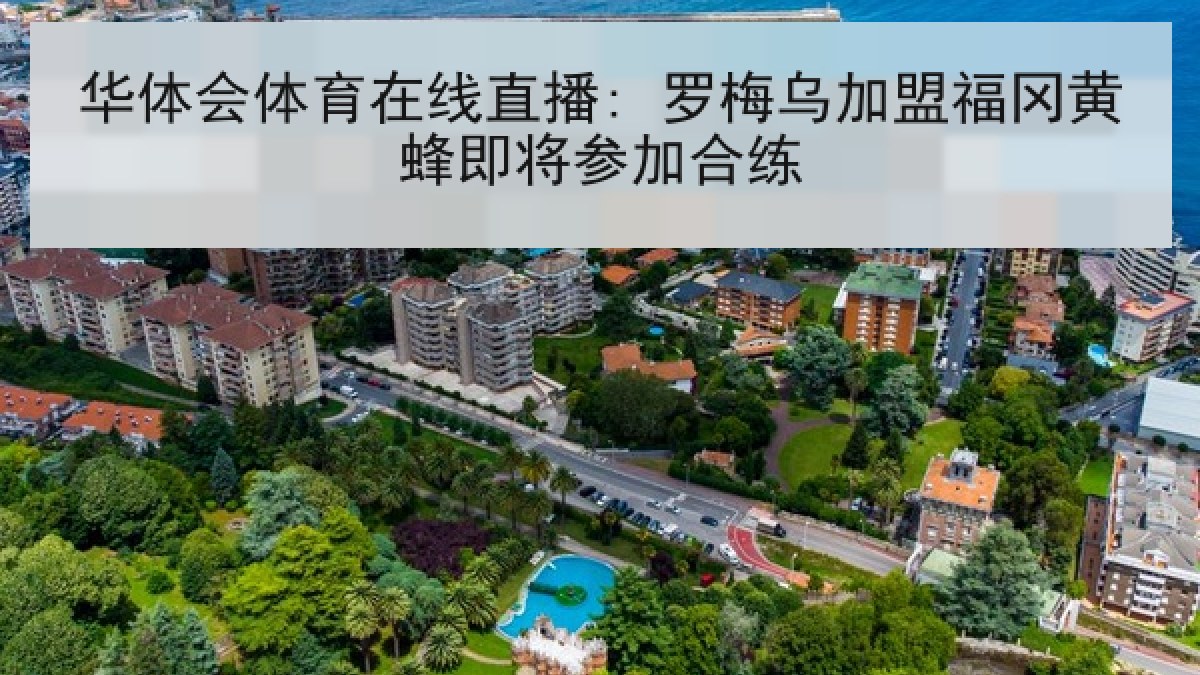 华体会体育在线直播: 罗梅乌加盟福冈黄蜂即将参加合练