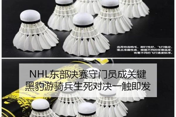 dong-bu-jue-sai-shou-men-yuan-cheng-guan-jian-hei-bao-you-qi-bing-sheng-si-dui-jue-yi-chu-ji-fa-3-356.jpg