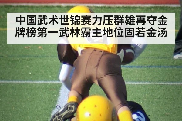 中国武术世锦赛力压群雄再夺金牌榜第一武林霸主地位固若金汤